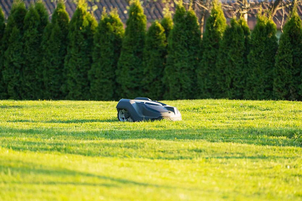 草坪美學新時代：自動割草機帶來的靜謐高效