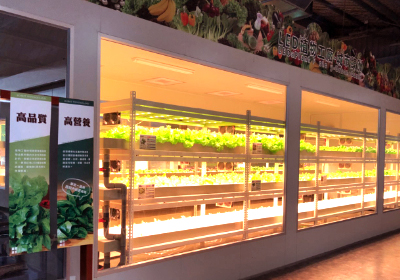 植物工廠